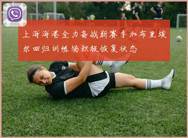 上海海港全力备战新赛季加布里埃尔回归训练场积极恢复状态