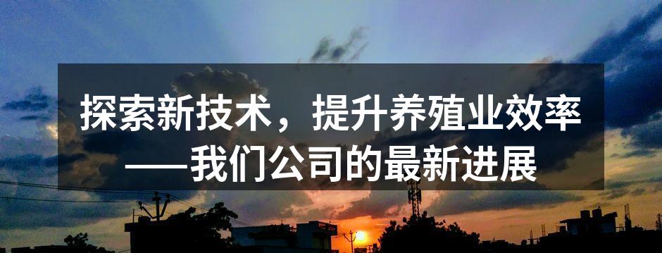 探索新技术，提升养殖业效率——我们公司的最新进展